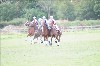 UKPA NC SAT_2469